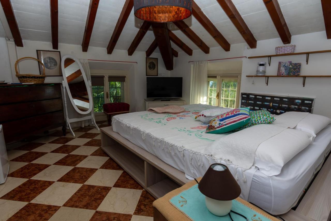 Villa Milly Брешия Экстерьер фото